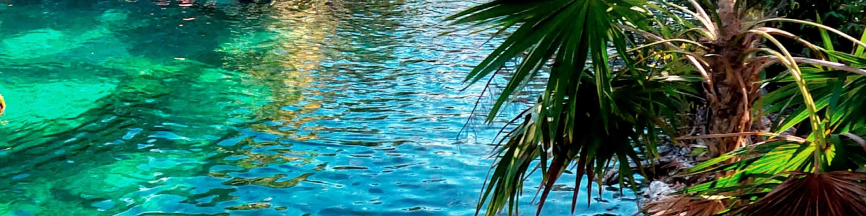 지하 강의 아름다움과 반쯤 닫힌 동굴 세노테를 탐험해보세요