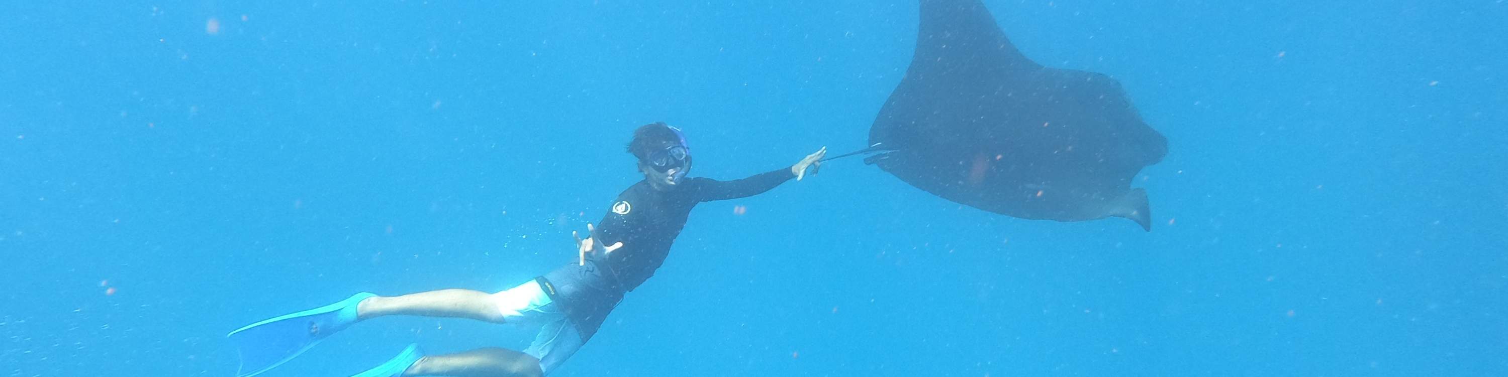 Tempat Snorkeling Lembongan Activity