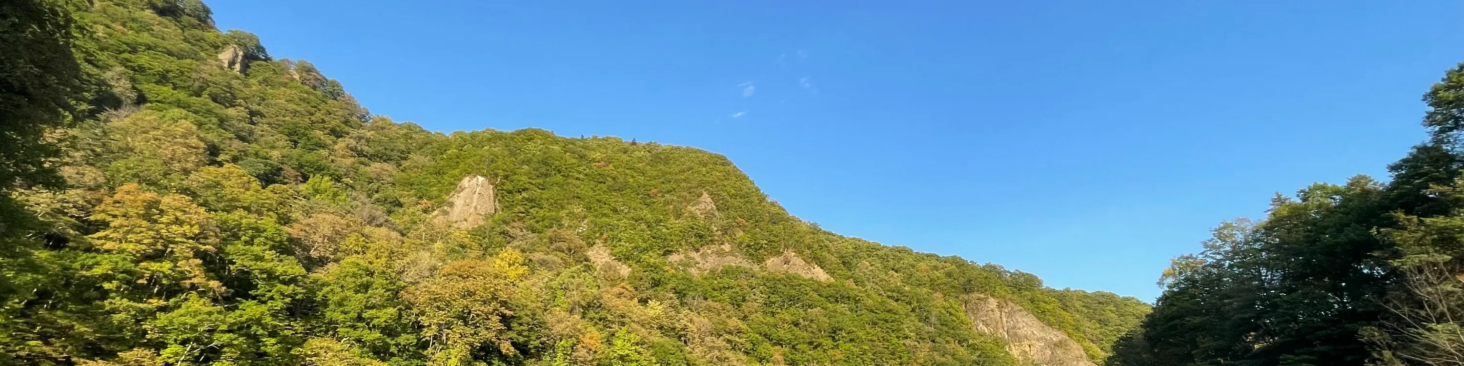 秋天