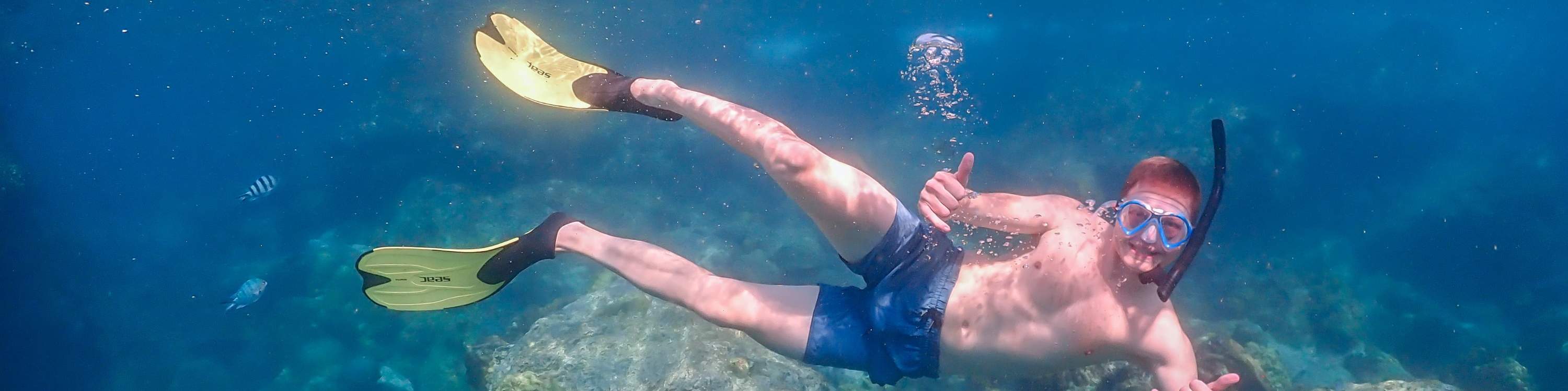 尼莫島體驗之旅（含無人機照片和午餐）