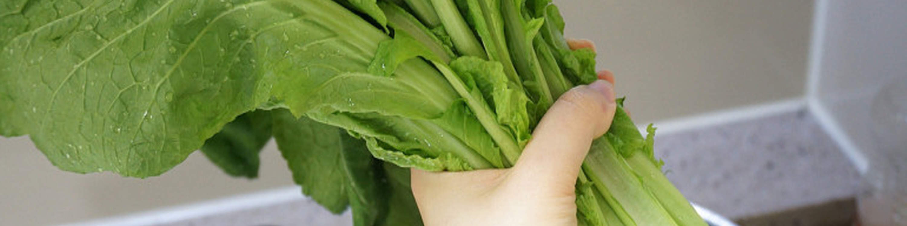 Cours de cuisine de Kimchi de radis coréen (Kkakdugi) à Busan