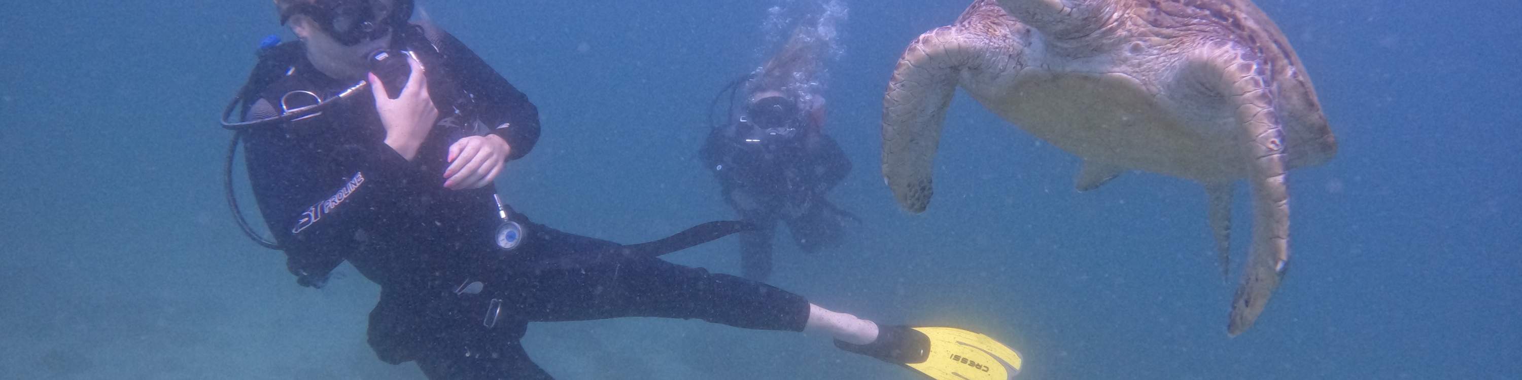 ドバイ発：スキューバダイビング＆シュノーケリング（BBQランチ付き）