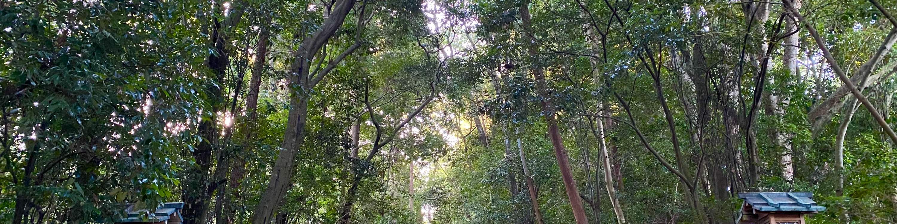 前往大神轮神社的道路