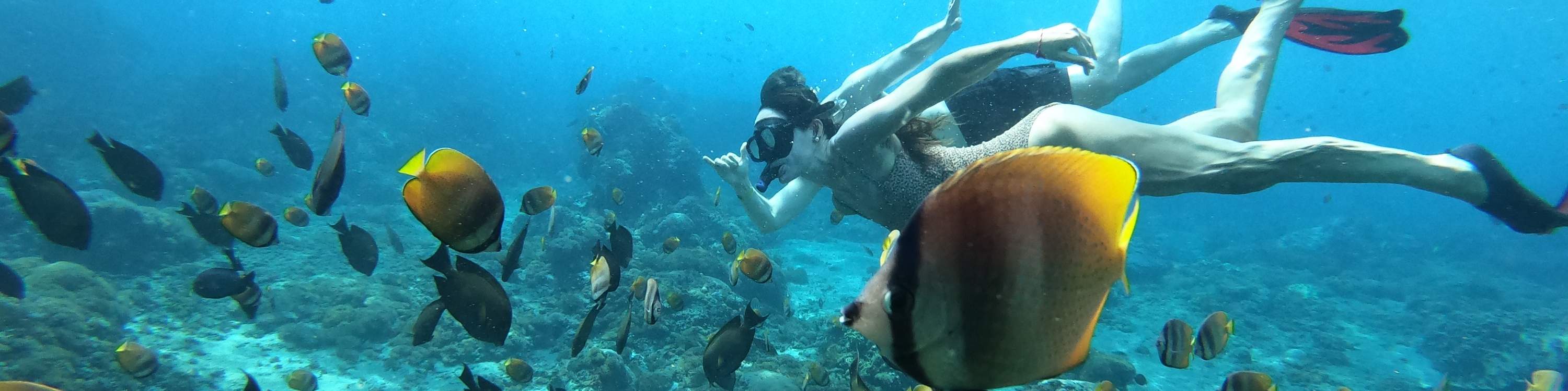 Tempat Snorkeling Lembongan Activity