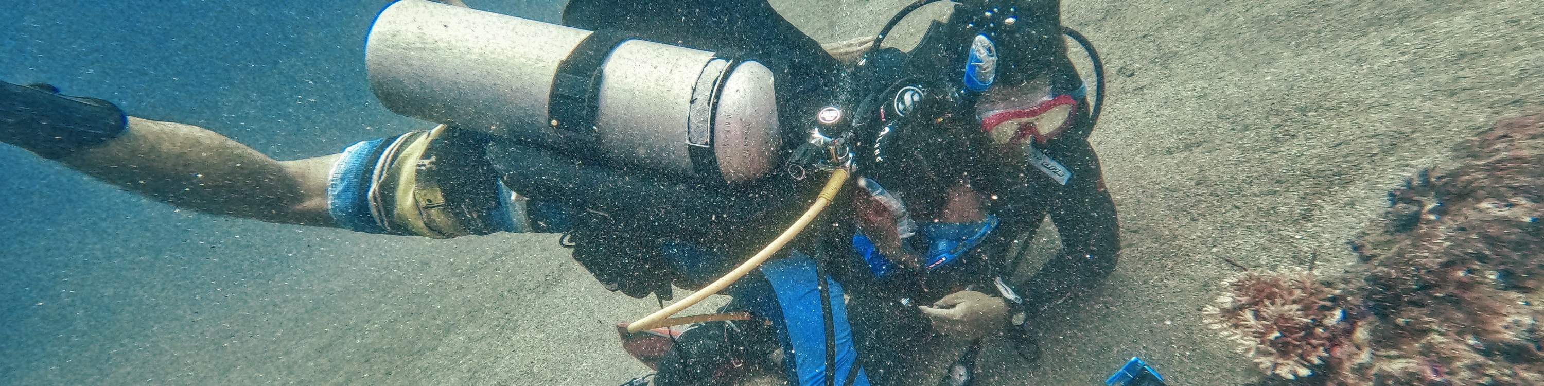 PADI Advanced Open Water Diver Course with ACCOMMODATION Klook