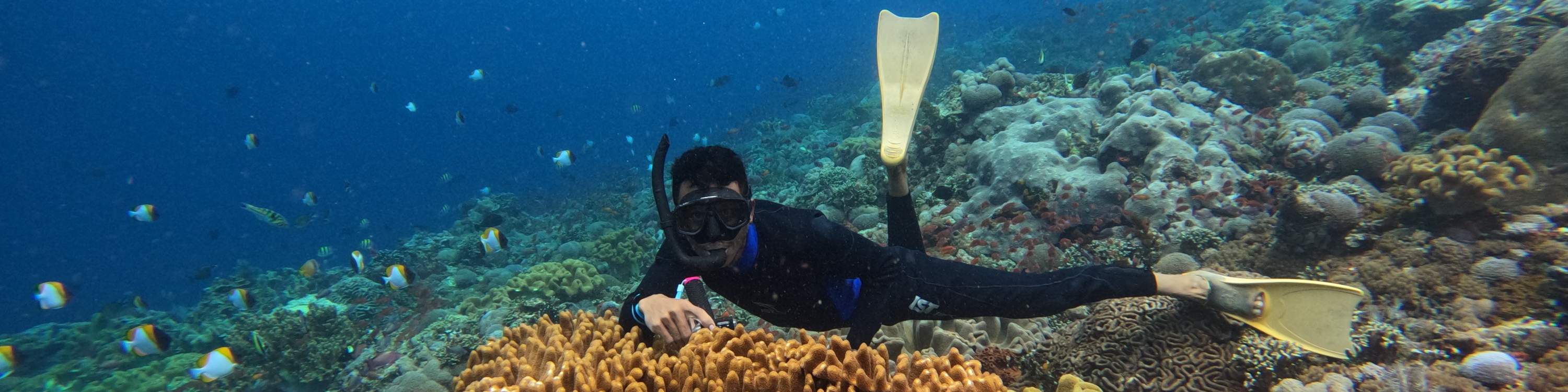 (Depart From Lembongan) 3 Spots Snorkeling Experience in Nusa Penida