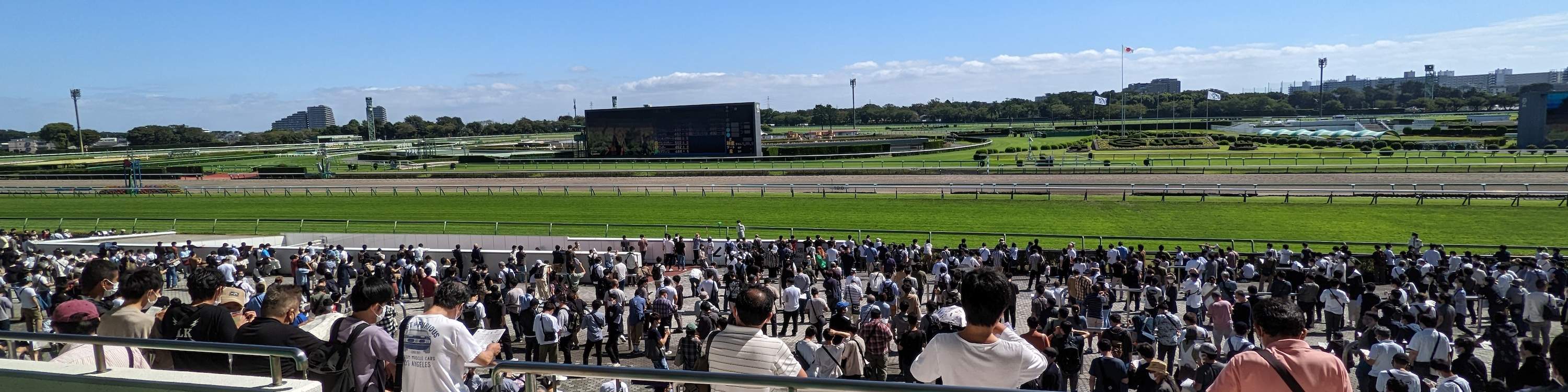 地元ファンと行く東京競馬ツアー（チケット付き）