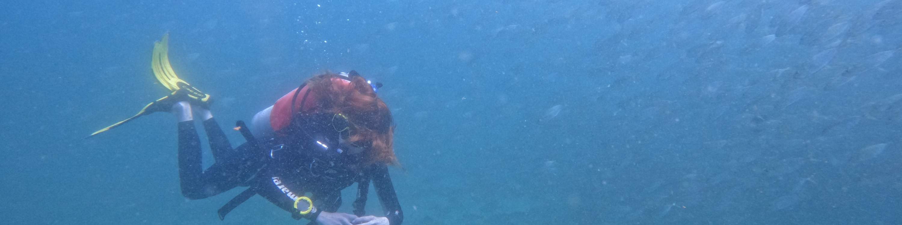 ドバイ発：スキューバダイビング＆シュノーケリング（BBQランチ付き）