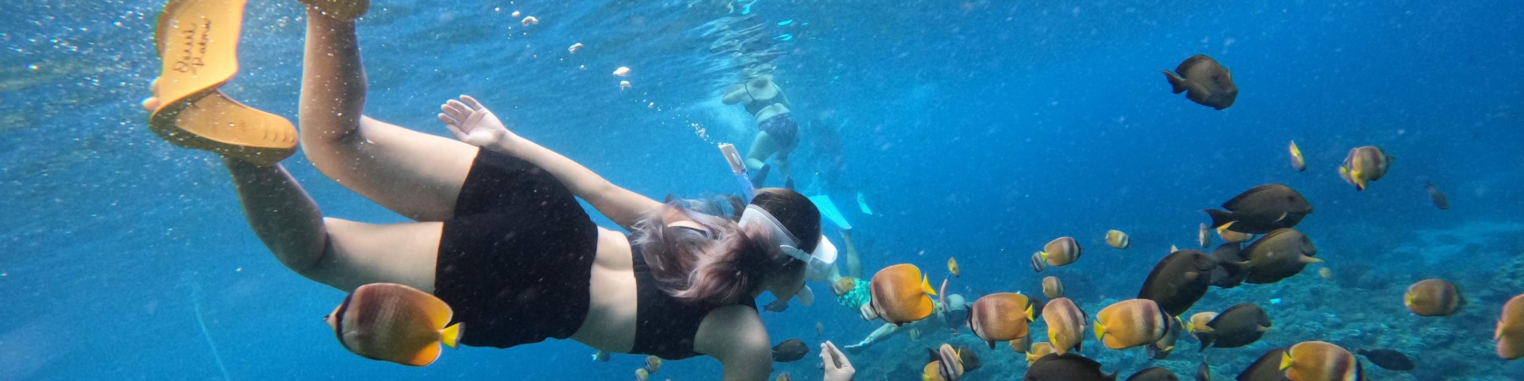 Snorkeling Day Tour in Nusa Lembongan and Nusa Penida from Bali Klook