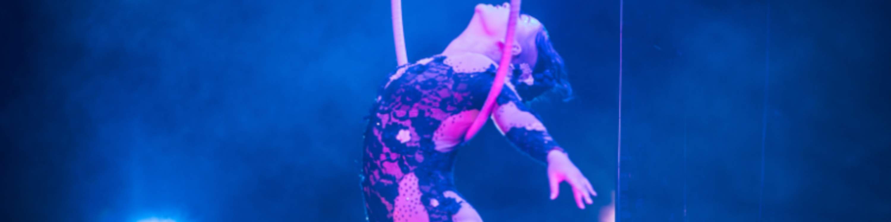 ラスベガス Shin Limマジックショーのチケット