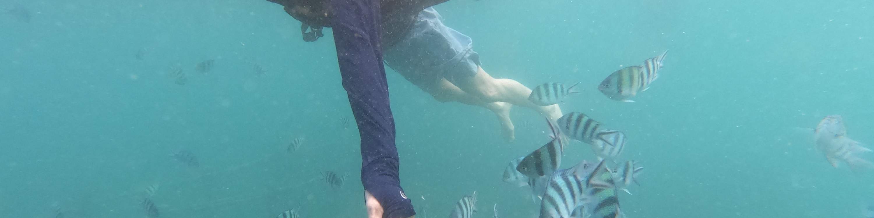 龜島 & 玻璃底船 & 紅樹林巡航之旅（JTB Indonesia提供）