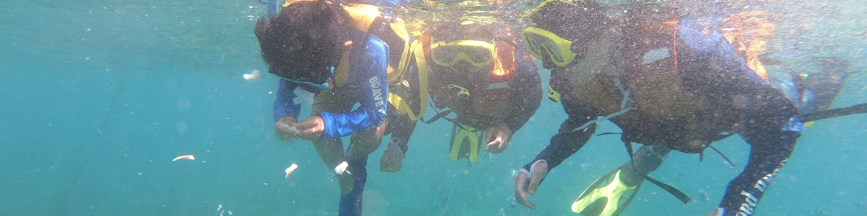 龜島 & 玻璃底船 & 紅樹林巡航之旅（JTB Indonesia提供）