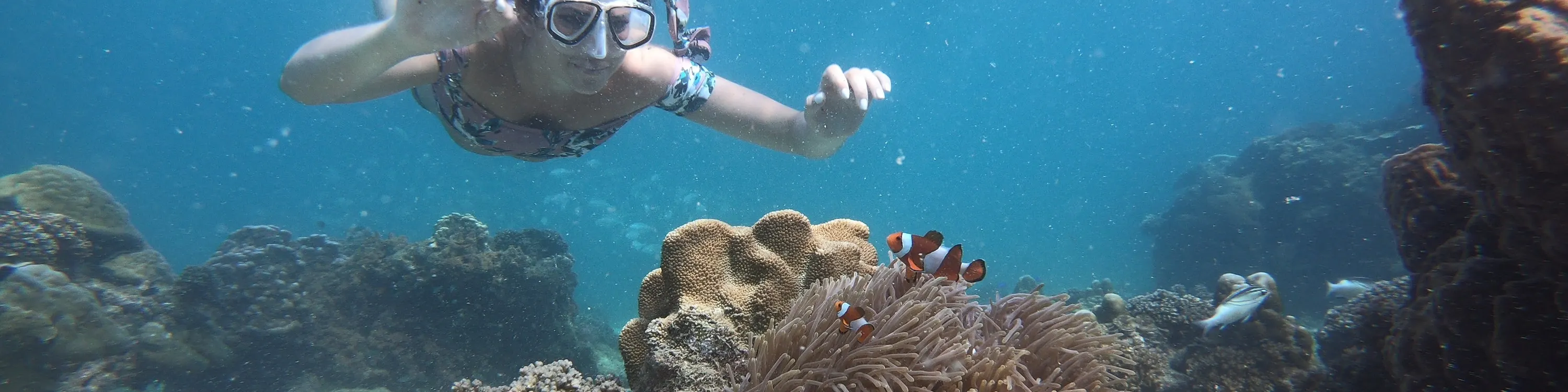 4 岛浮潜日落之旅 + 生物发光夜泳。