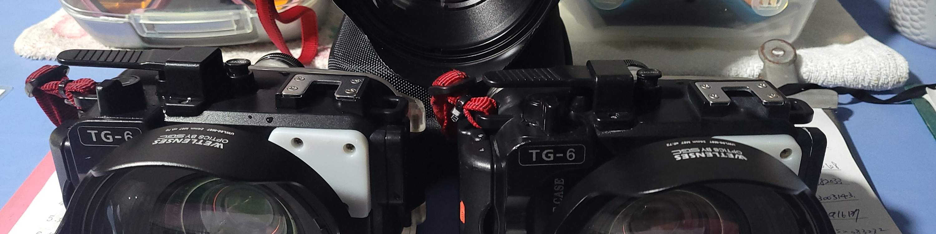 샤오류치｜스노클링 체험 & 바다거북과 함께 수영｜6인 동반 시 1인 무료