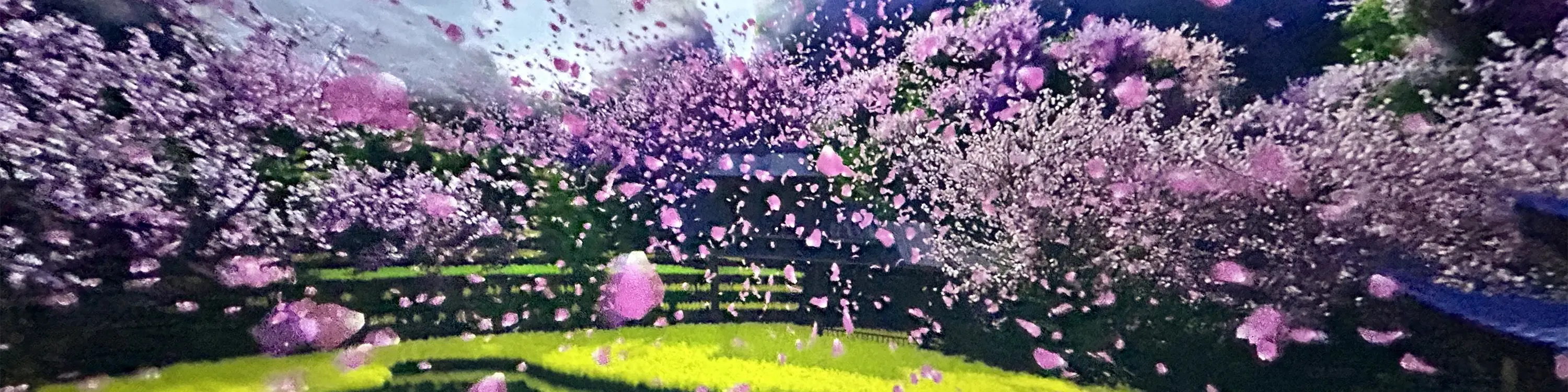 更有细腻的水雾、轻柔的吹风、神秘的香雾等特效，当你飞越花海，便能闻到阵阵花香；掠过瀑布，脸上能感受到细密的水珠。