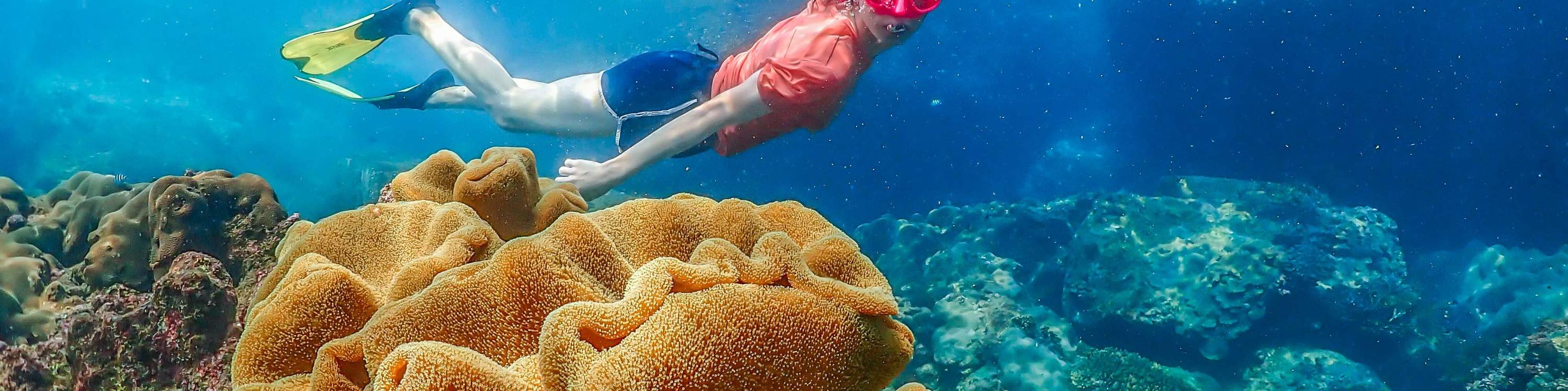 Esperienza all'Isola di Nemo con Foto Aeree e Pranzo