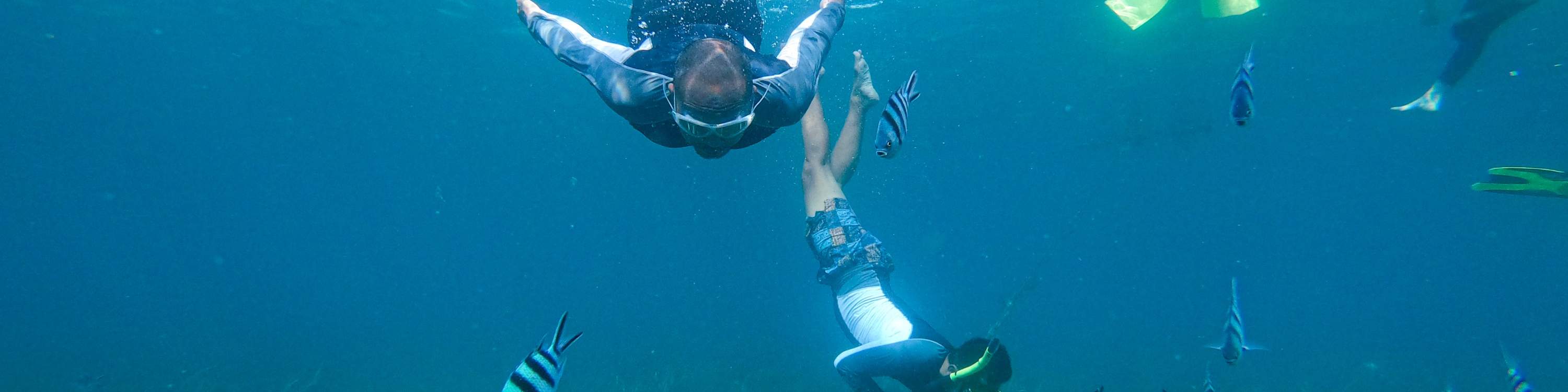 龜島 & 玻璃底船 & 紅樹林巡航之旅（JTB Indonesia提供）