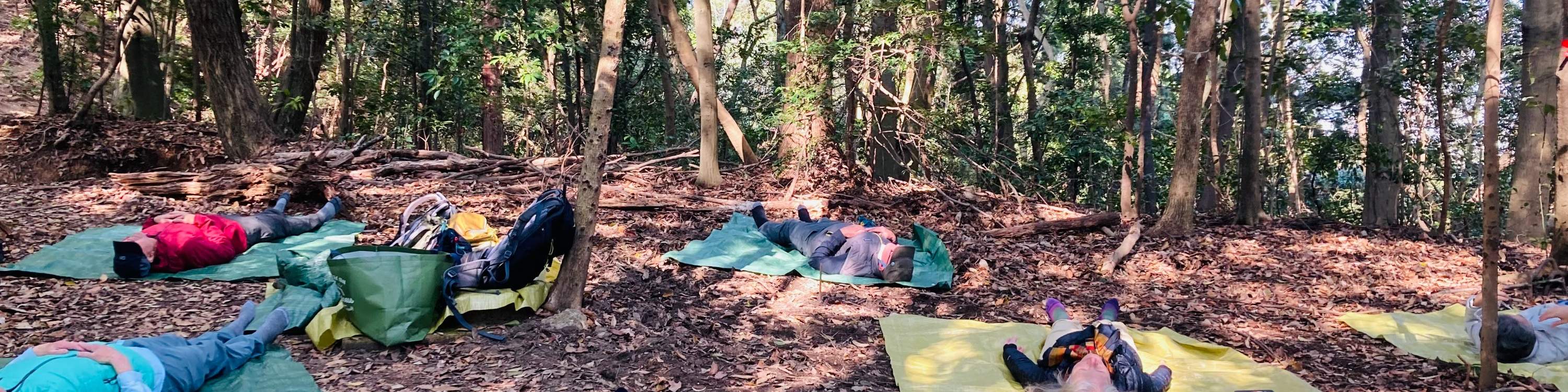 廣島春季早間徒步之旅 & 露天茶道