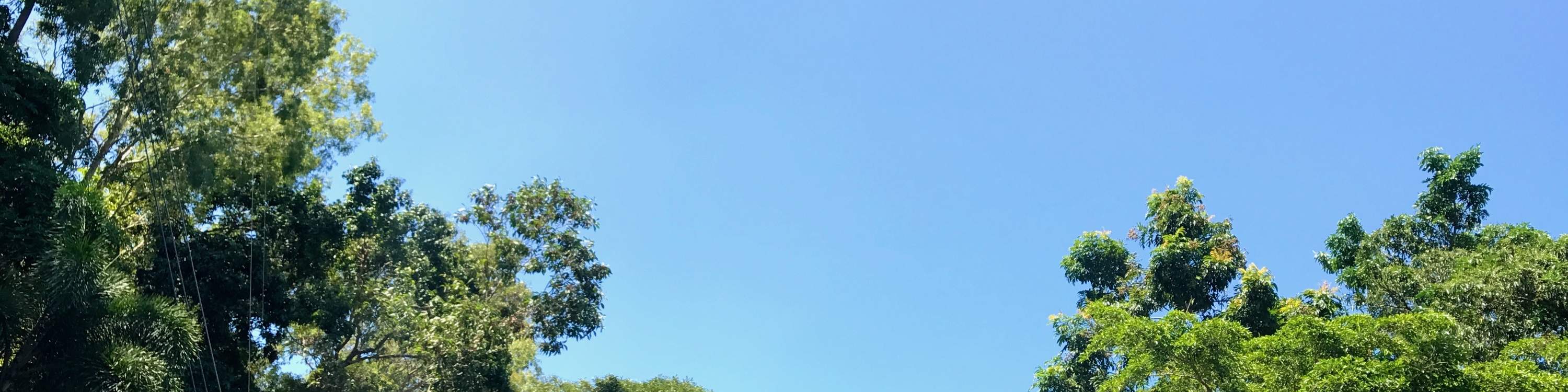 ケアンズ・ジャイアントスイング