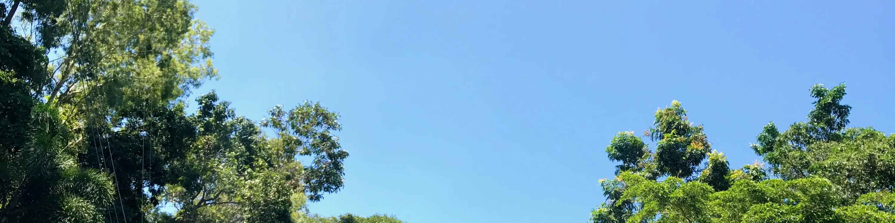 凯因斯巨型秋千