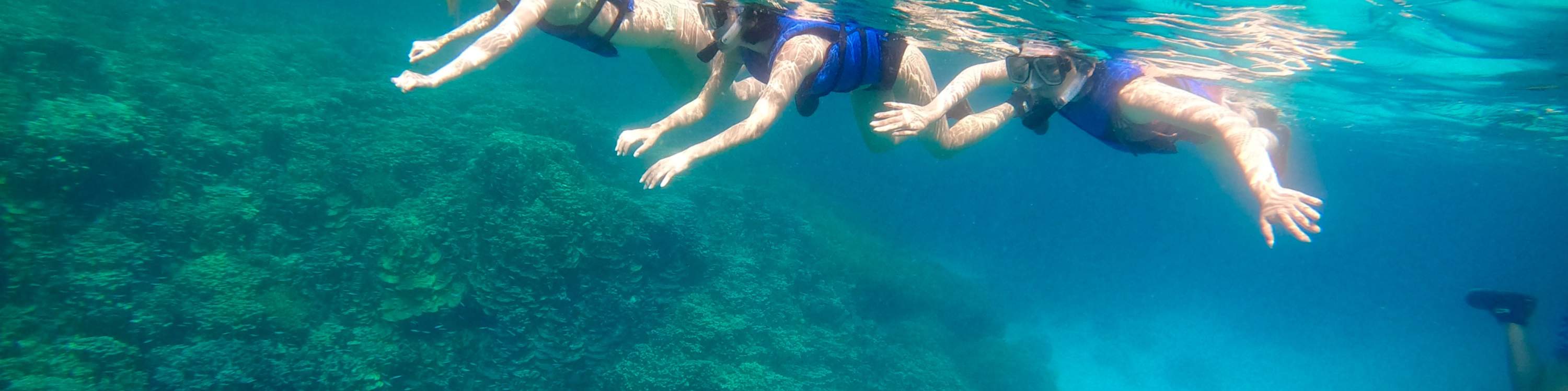 Peribadi. Pengalaman Snorkeling atau Freediving di Guam