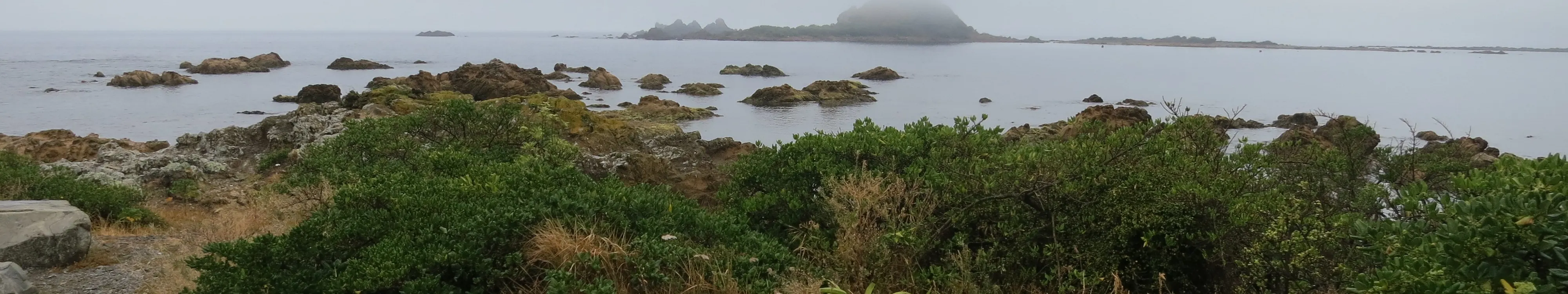 半日浮潜之旅 - 有导游或无导游。