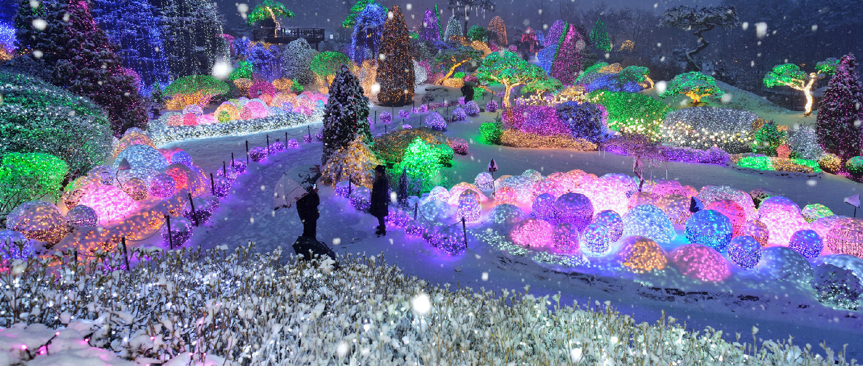 Korean Light Festival 3d mon