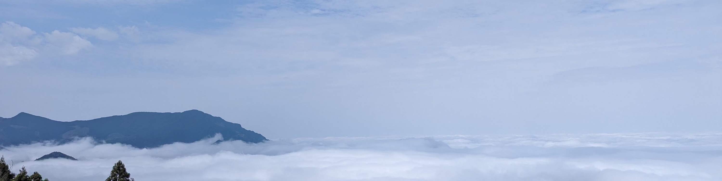 Hsinchu Wufeng: Sentiero forestale di Luoshan - Pedalata lenta in bicicletta