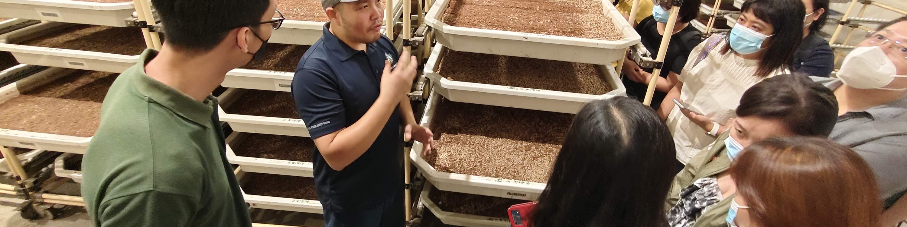 Tour Tham Quan Trang Trại Ruồi Lính Đen Lớn Nhất Singapore