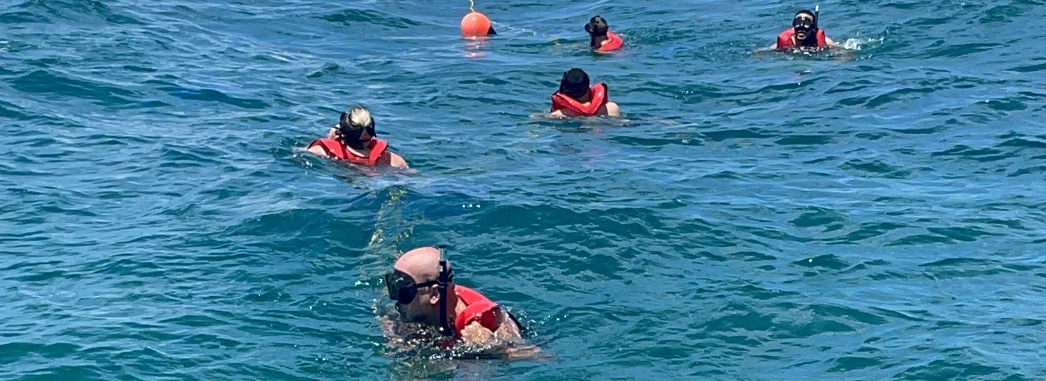 Half Day Snorkelling Trip in Florida with PADI Dive Boat Klook