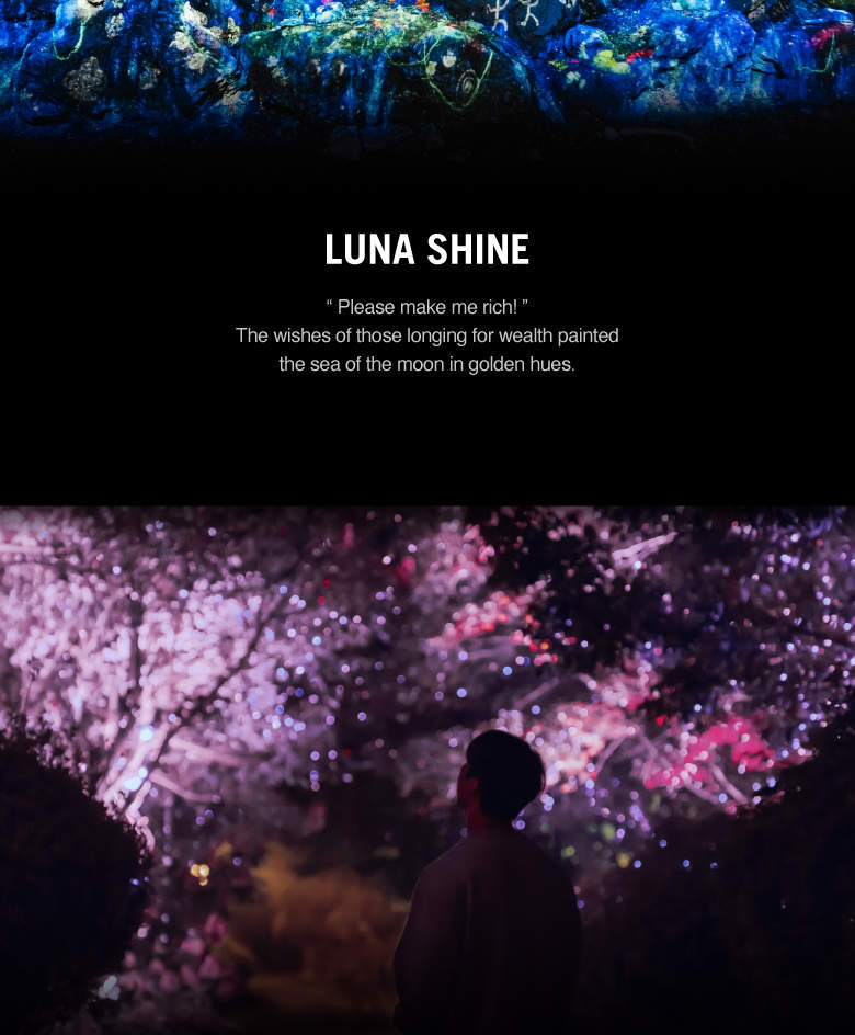 บัตรเข้าสวนสนุกดิจิทัล Lunafall ที่เชจู