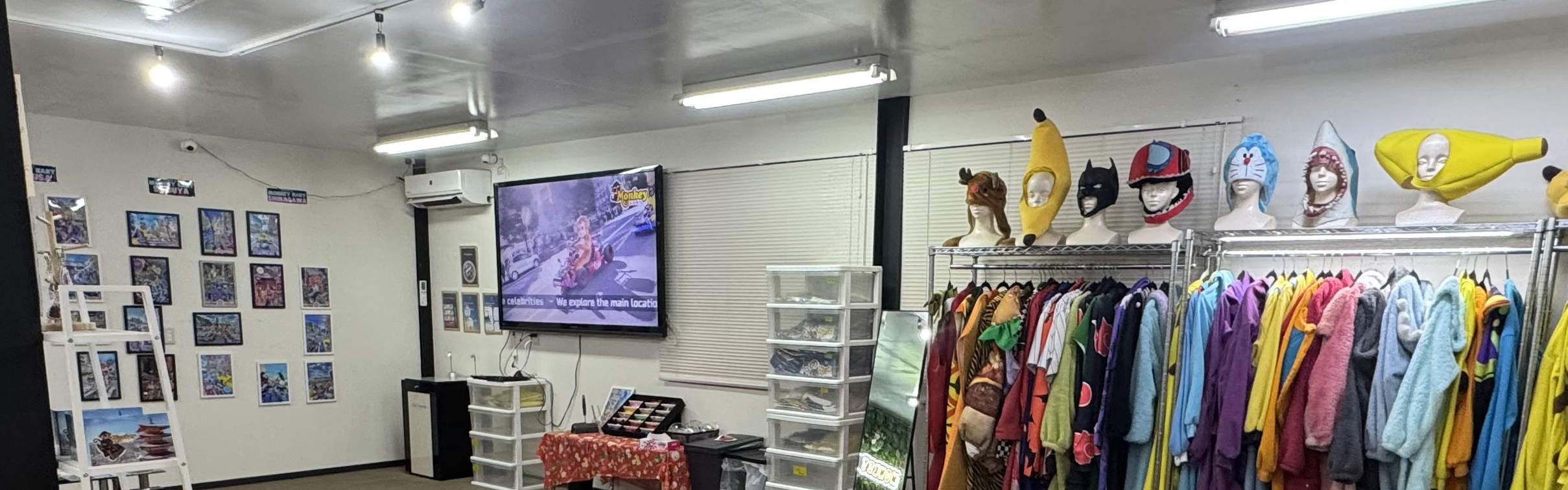 Small Group Go Kart Experience in Asakusa 