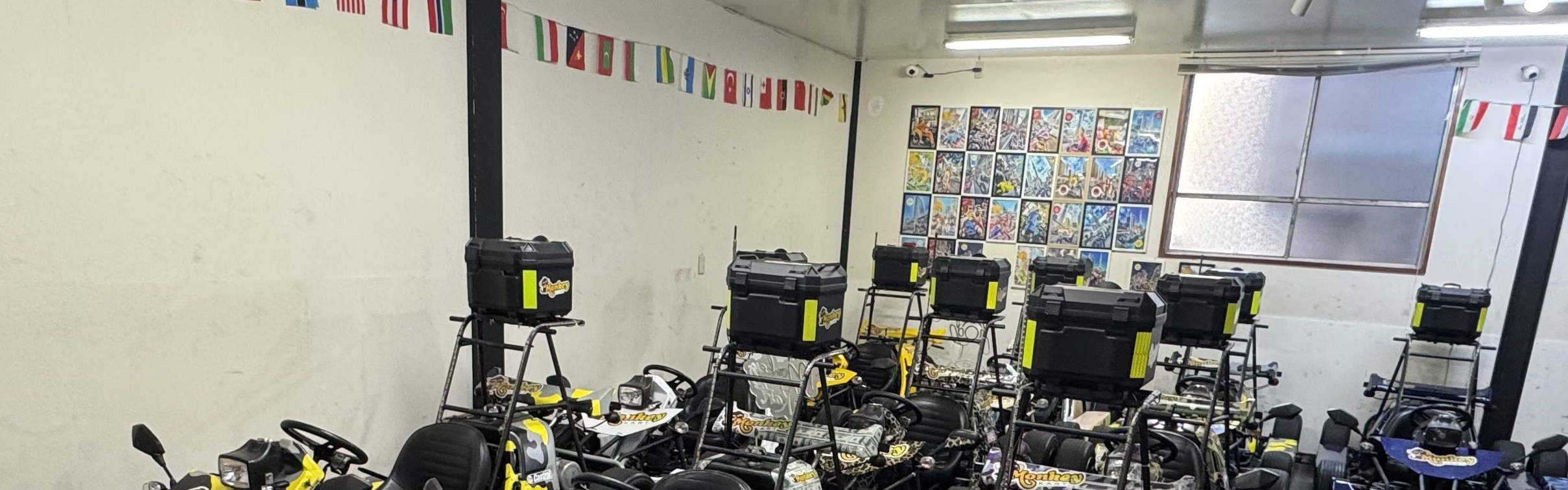 Small Group Go Kart Experience in Asakusa 