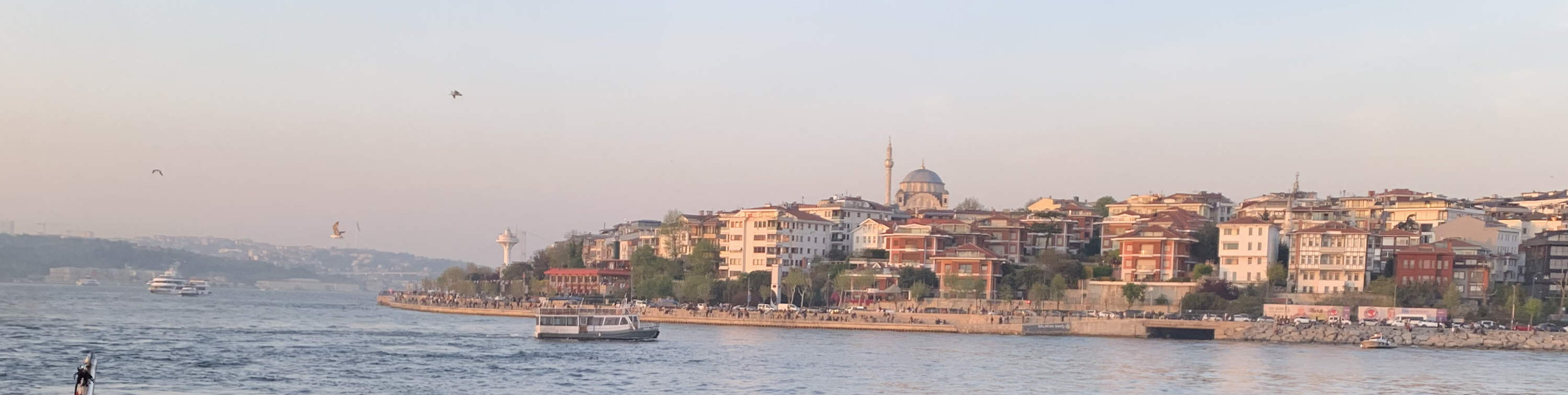 夕阳游艇巡航：美酒、音乐、小吃与趣味知识