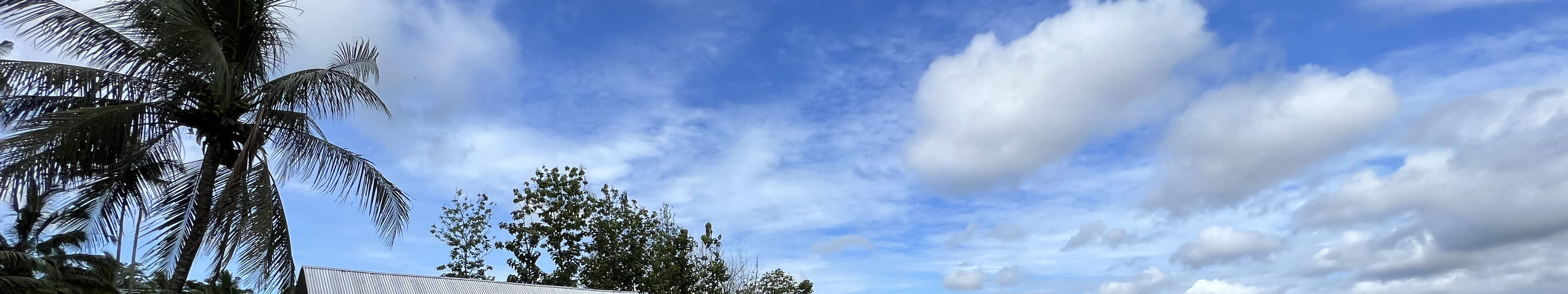 발리 가둥안의 탈라시 에스테이트에서 즐기는 탈라시 제품 여정