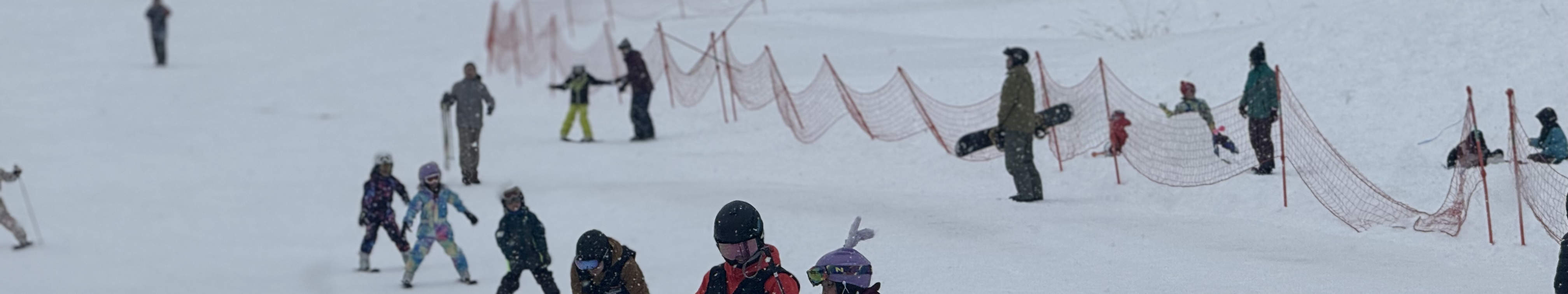 Nagano | Kursus Pelatih Ski Pribadi 4 Jam di Lapangan Ski Hakuba Cortina