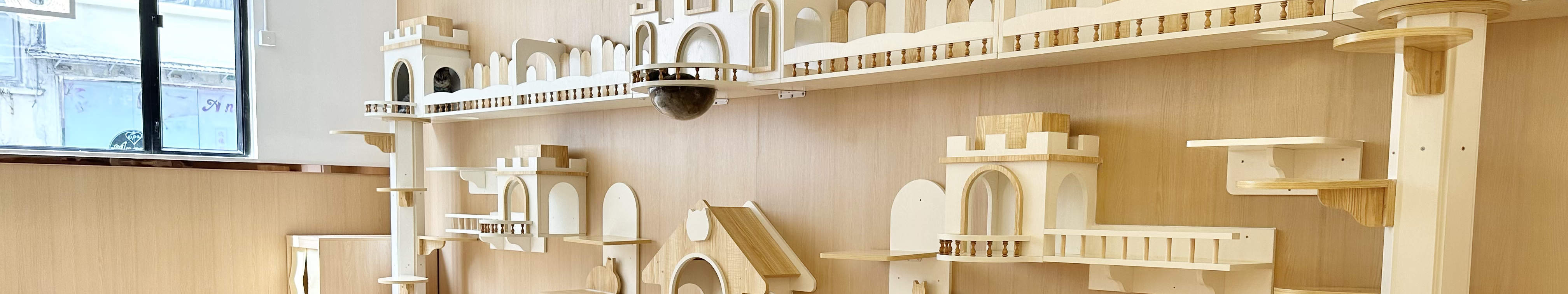 荃灣元祖店-與貓貓互動區