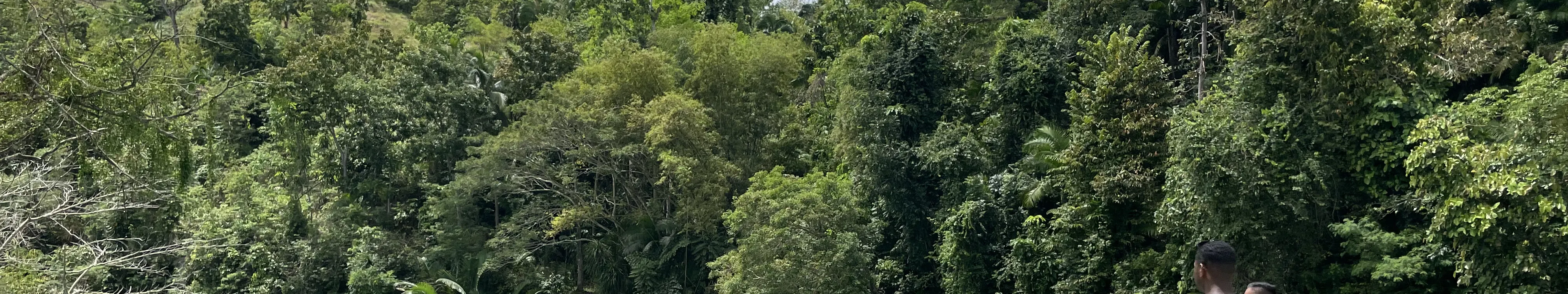 Loboc River Stand Up Paddle Adventure in Bohol