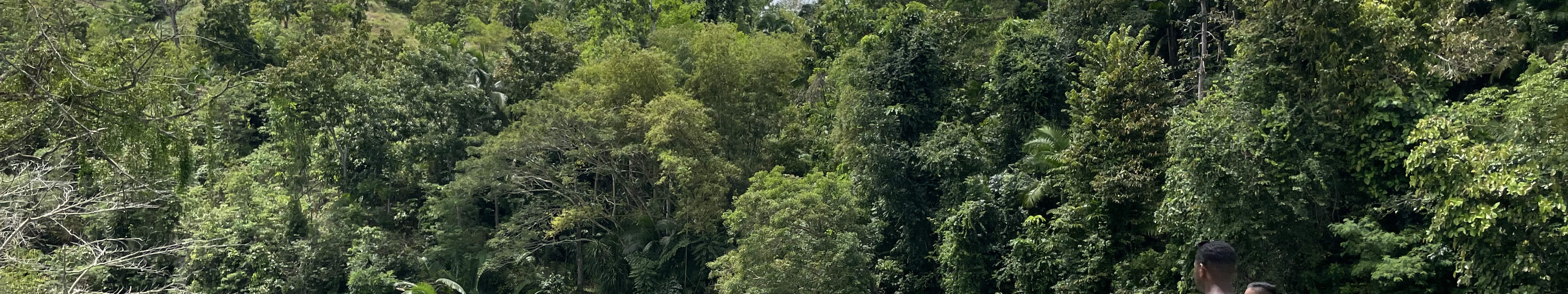 ロボック川 スタンドアップパドルアドベンチャー（ボホール）