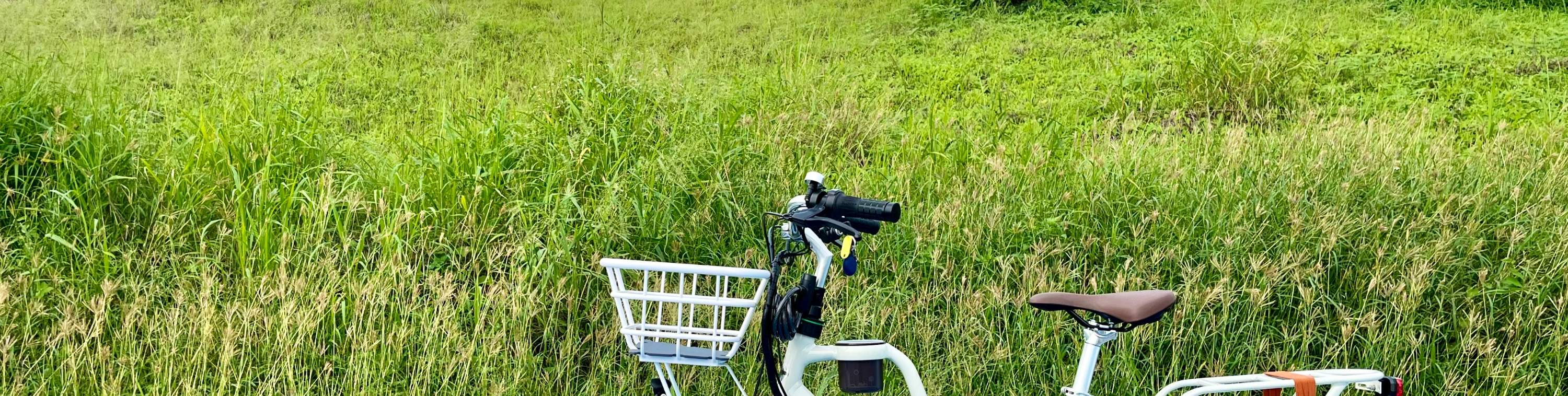 ประสบการณ์การขับขี่จักรยานไฟฟ้า Little Lark