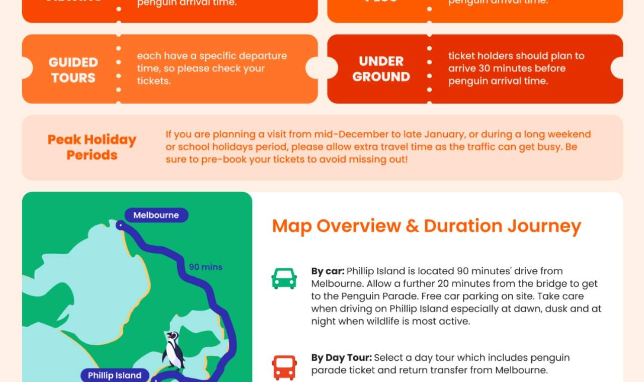 Billet pour la parade des manchots de Phillip Island