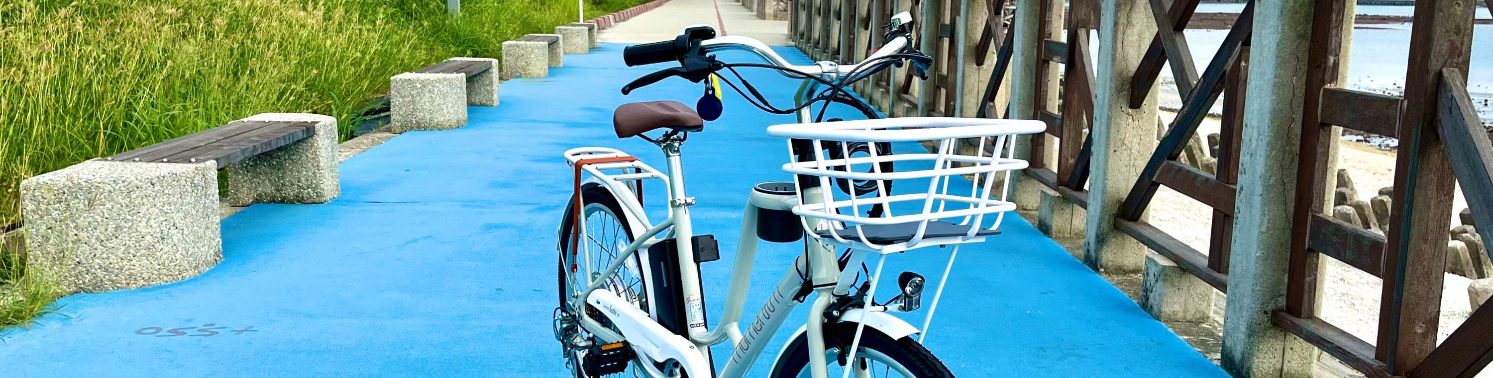 ประสบการณ์การขับขี่จักรยานไฟฟ้า Little Lark