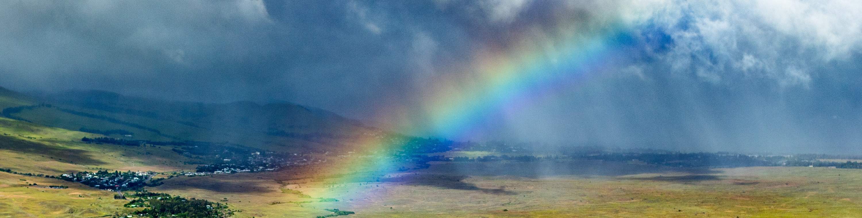 Kohala Coast Volcano Waterfalls- 90Min Helicopter Tour - Door Off/On