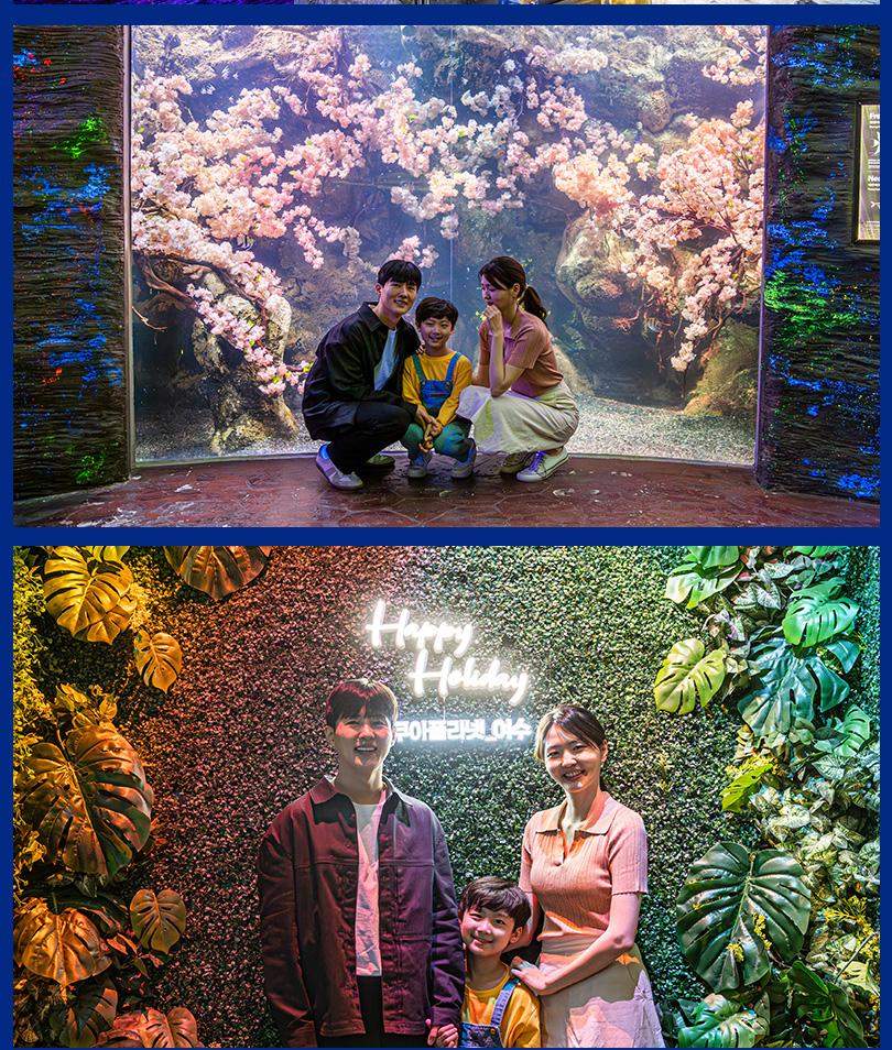 아쿠아플라넷 여수 입장권