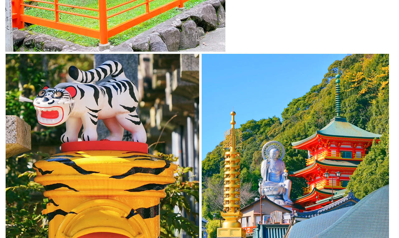 聖ドラミ様　大阪　寺　見開き　３点 秘境で桜を愛でる】壺阪寺の桜大仏・奈良公園での鹿せんべい体験