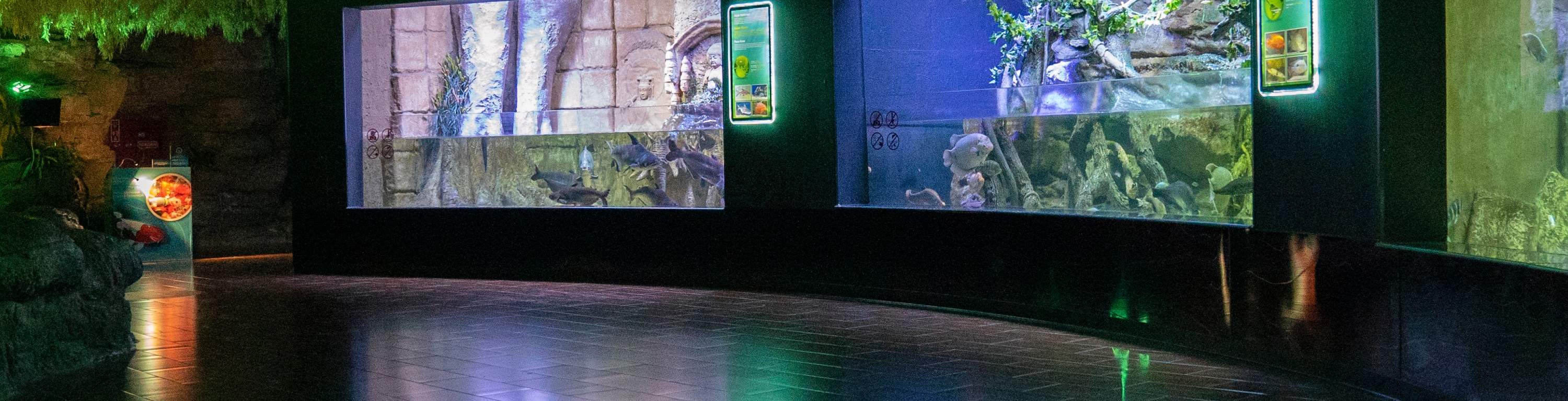 Biglietto d'ingresso all'Antalya Aquarium e al Museo delle Cere