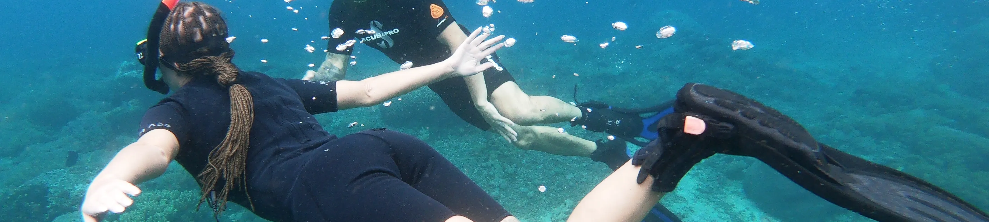 巴东拜浮潜之旅