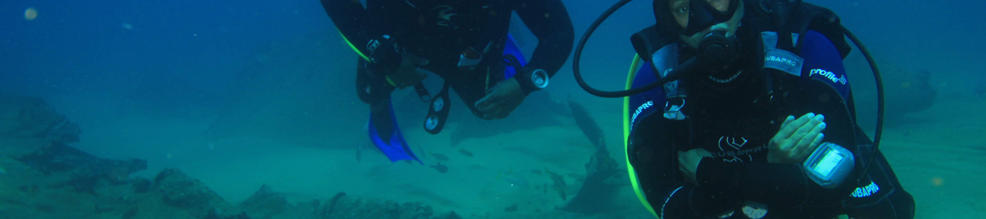 PADI Advanced Open Water Diver in Baja California Sur with PADI 5 Star