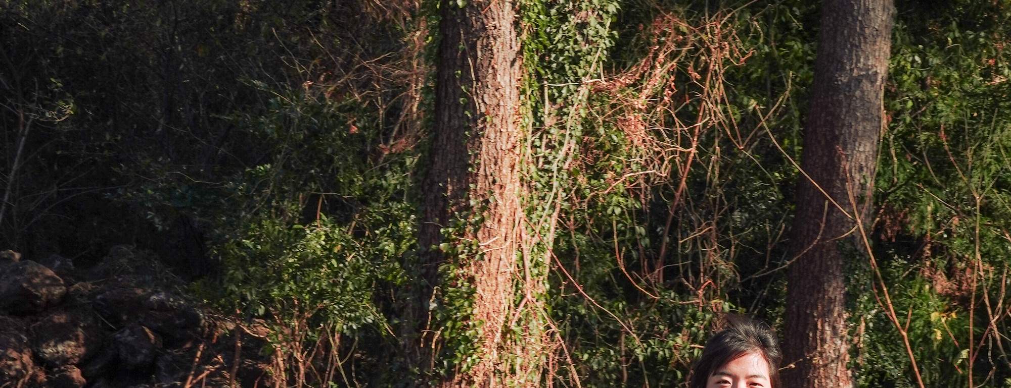 在竹林和牧場進行私人拍攝