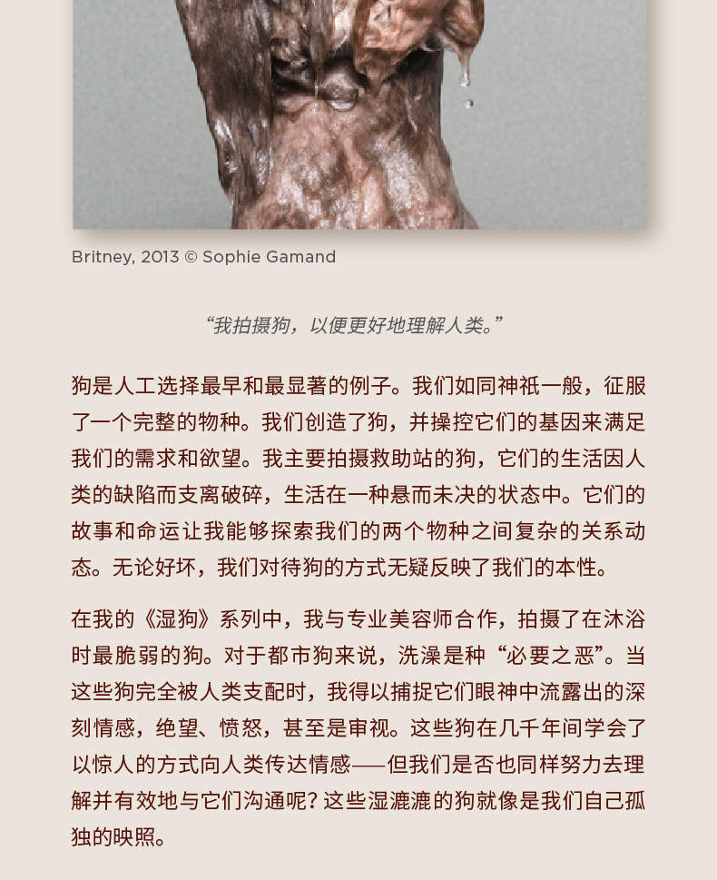 Зверополис